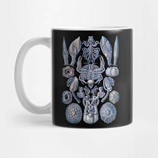 Ernst Haeckel Cirripedia Crab Blue Sky Mug